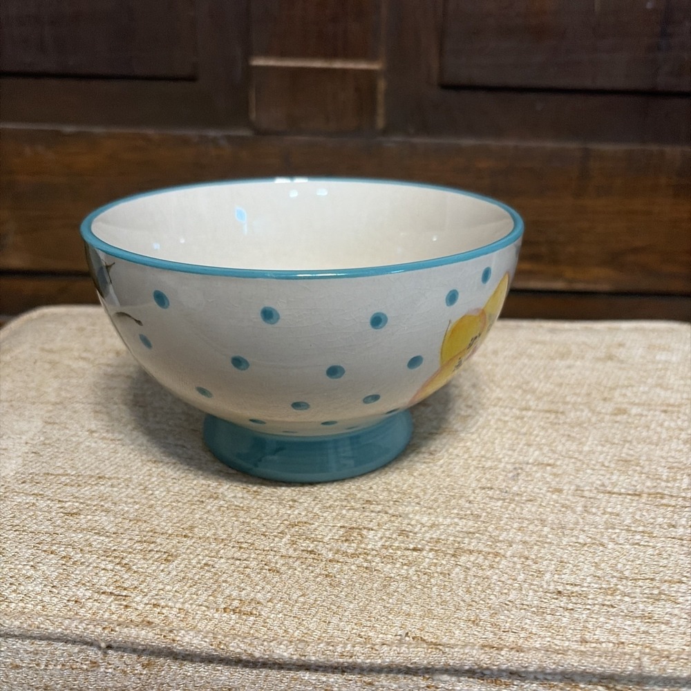 The Pioneer Woman Blue Polkadot Ceramic   Cereal Soup Bowl